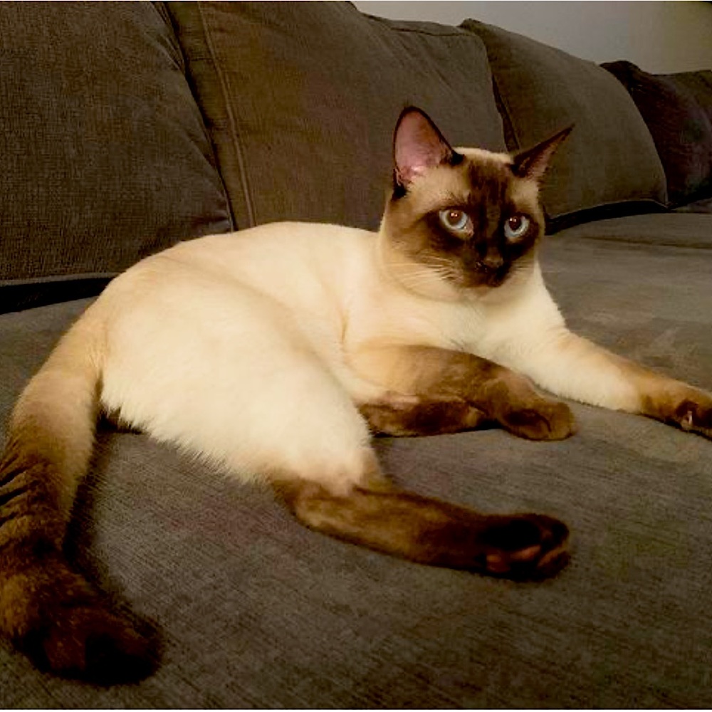 Etiquette. - image 1